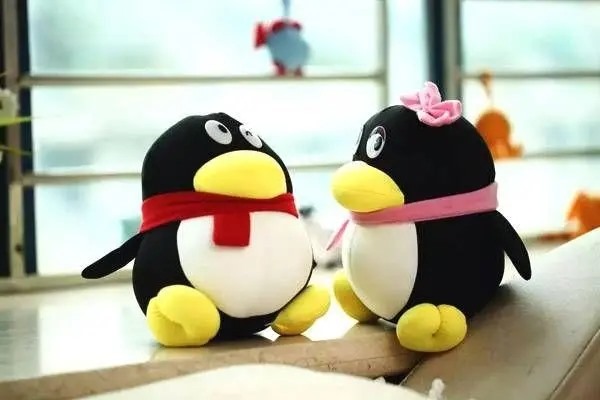 qq怎么加陌生人为好友？